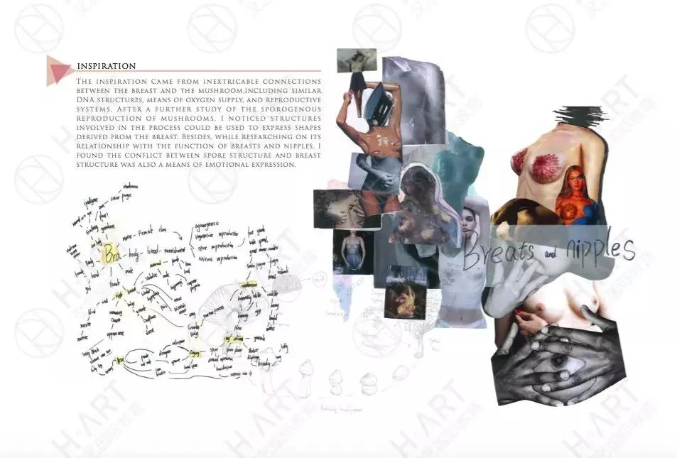 保底or顶级？伯明翰城市大学