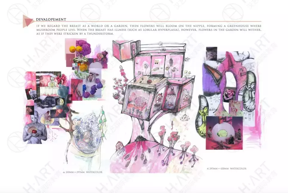 保底or顶级？伯明翰城市大学