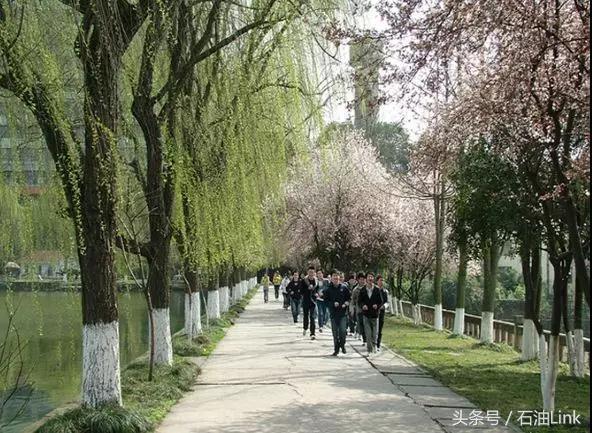 重磅！中国能源大学或落户青岛，石油大学们以后将会如何？