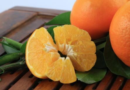 沃柑是橘子还是橙子？是由橙子和橘子杂交来的-第1张图片