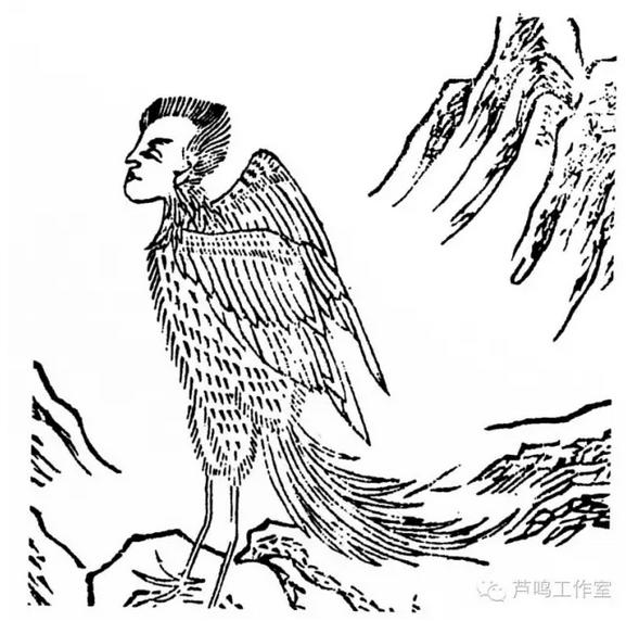 芦鸣说《山海经》:鸟人与怪兽之一