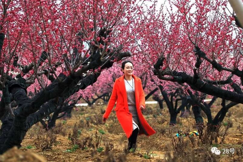 登山、赏花、沐温泉……我们准备了房间和门票，你准备好TA了吗？（文末有福利）｜旅游