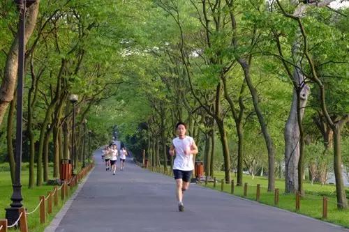 “全球工作时间最短城市”排名出炉！咱保定？