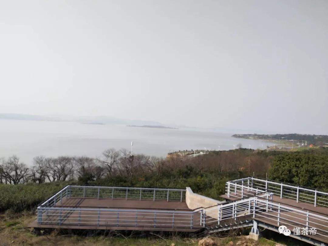 碧螺春原产地(探访碧螺春原产地：这么富了，为何还做茶？)
