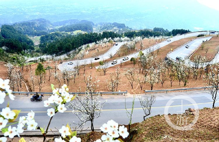 海拔1000米高山之巅邂逅“山寺桃花始盛开”的初春时节