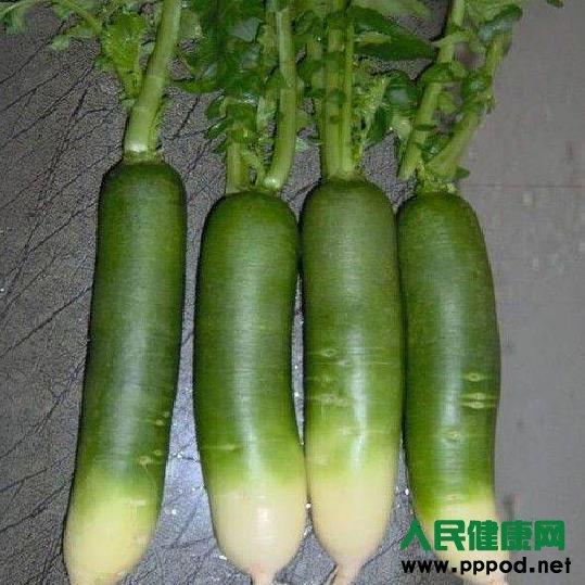 吃青萝卜的功效与作用（分享3个青萝卜的食用方法）