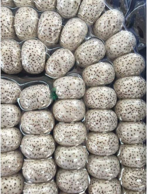 菩提价格如何判断？应该值几钱呢