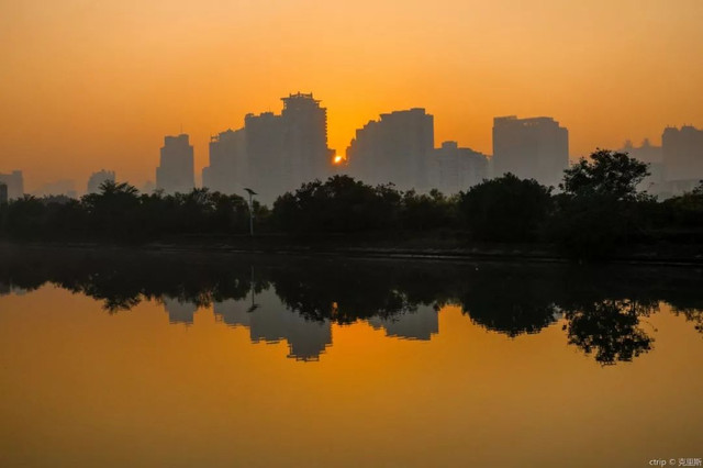 西红柿足球比赛哪里拍的(《西虹市首富》爆红，取景地你看出来了吗？)