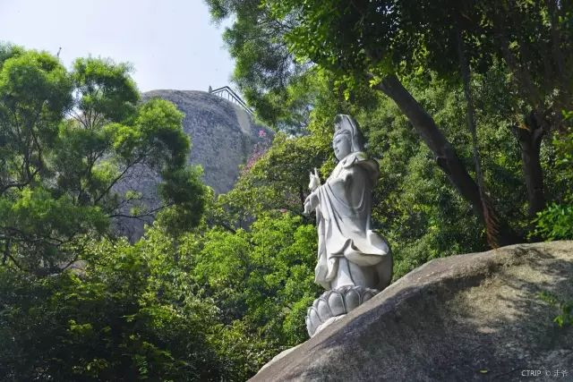 西红柿足球比赛哪里拍的(《西虹市首富》爆红，取景地你看出来了吗？)