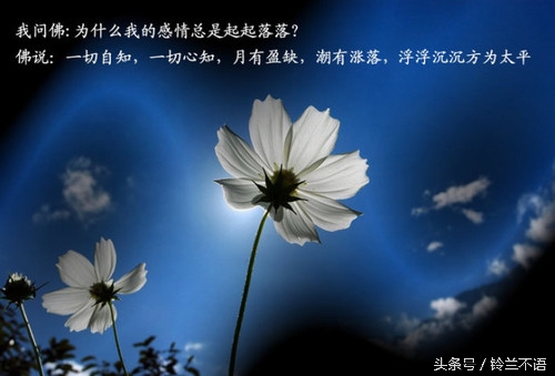 仓央嘉措·见或不见，都是执念！(仓央嘉措你见或者不见)