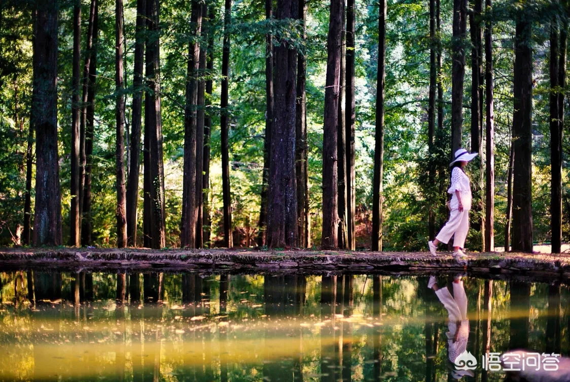 出去旅游，女生穿什么样的衣服最上镜？