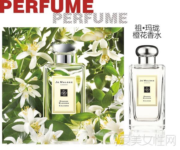 香水喷太浓？补救技巧马上get！