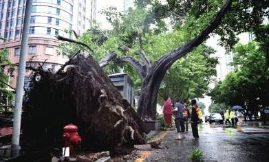 早知道｜里约奥运会开幕！今日中国队三大夺金点
