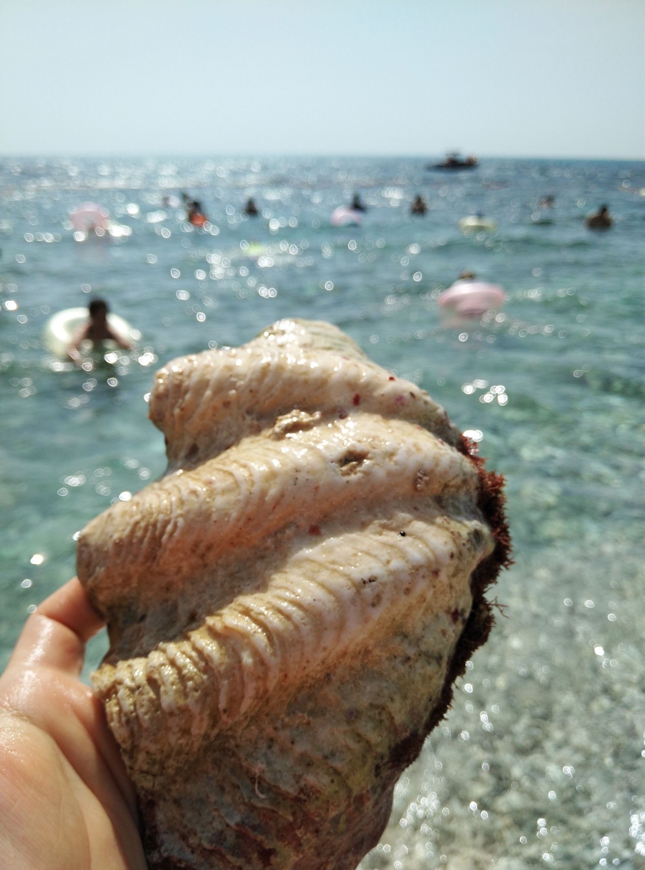 南海西沙群岛旅游攻略——5.大海篇