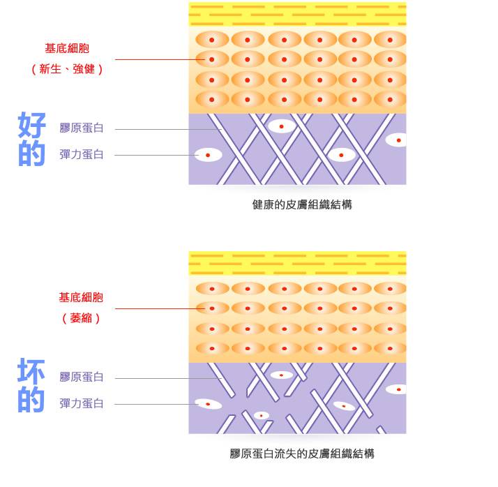 常识趴 | 这么多顽固皱纹是怎么形成的？如何去除？(上）