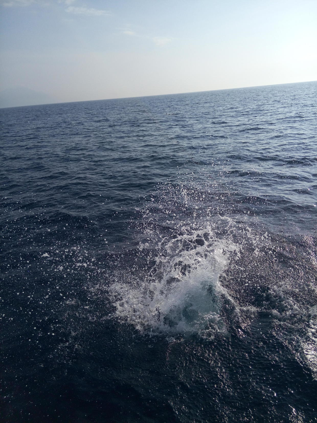 去台湾旅游以下这些事一定要做 不然会后悔的