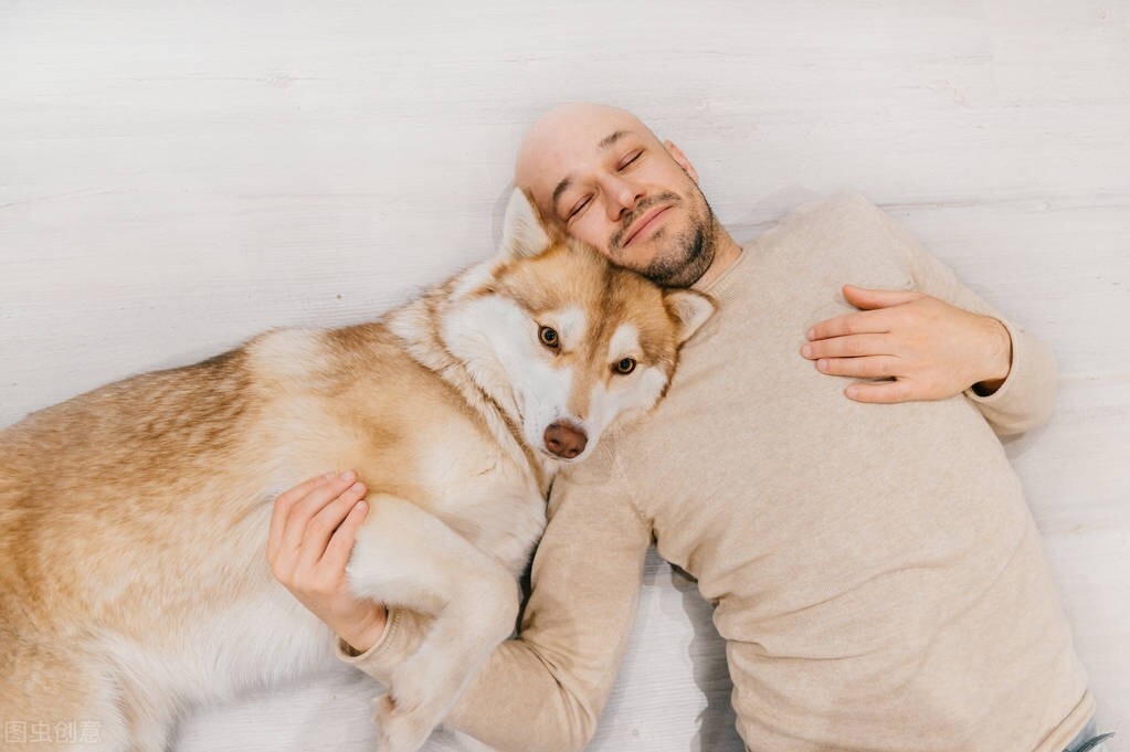 狗喜欢和主人“睡觉”，原来有这6大原因