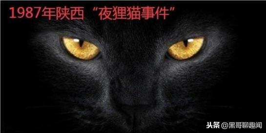 1987年陕西夜狸猫事件(揭秘：1987年陕西“夜狸猫事件”！整个村庄人一夜消失)