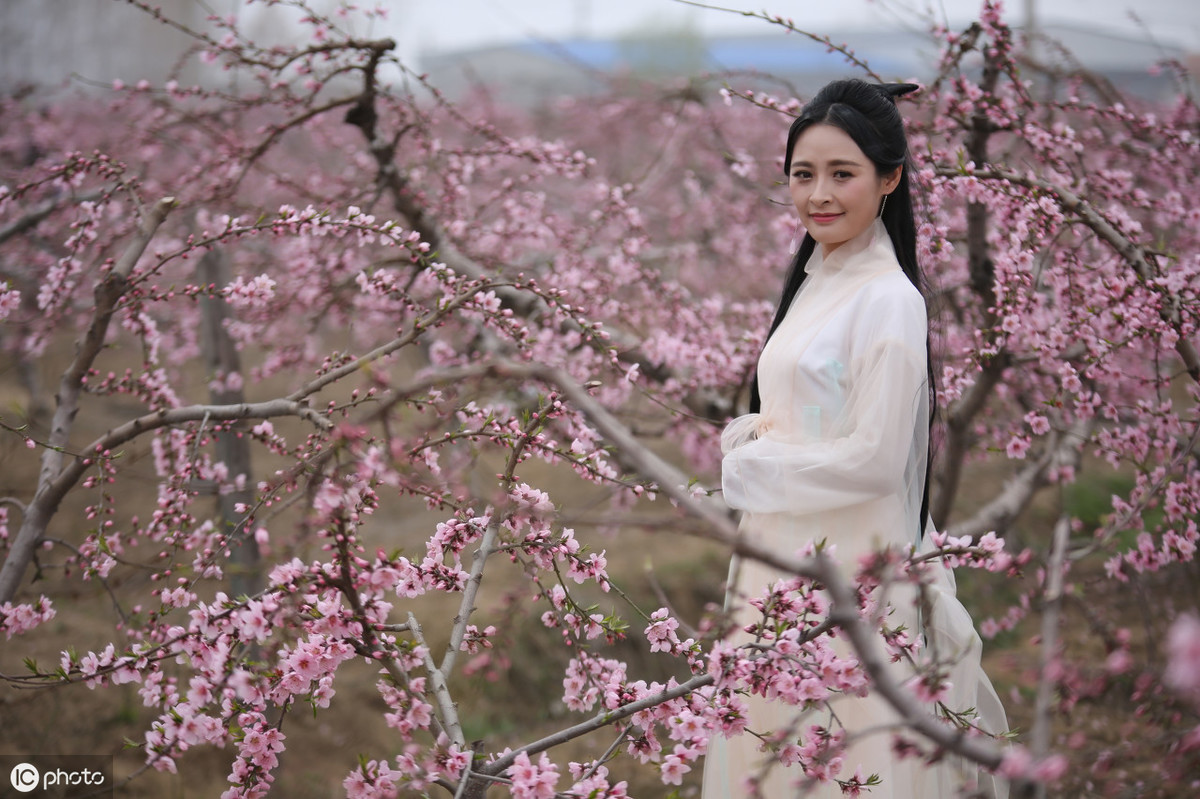 周公,桃花女與桃花運之間什麼關係