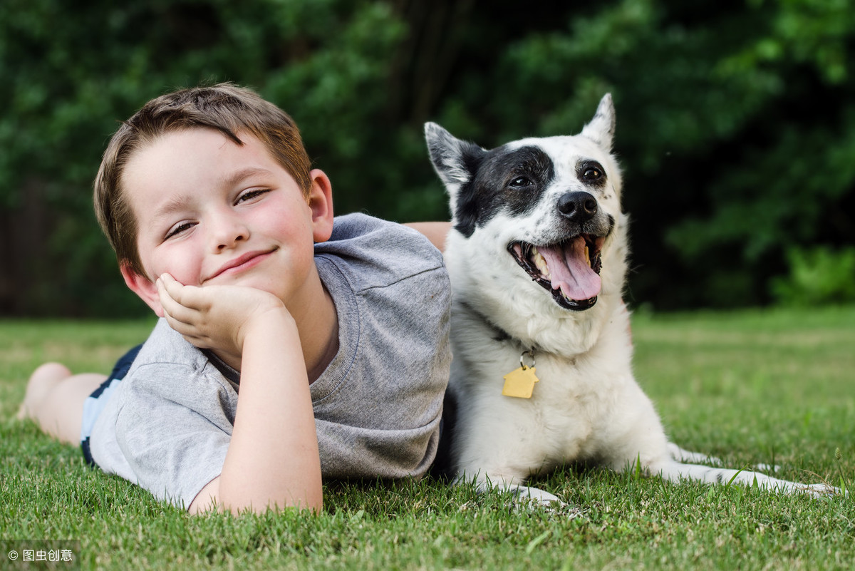 世界卫生组织：狂犬病40%为15以下儿童，危险性极高，家长要注意