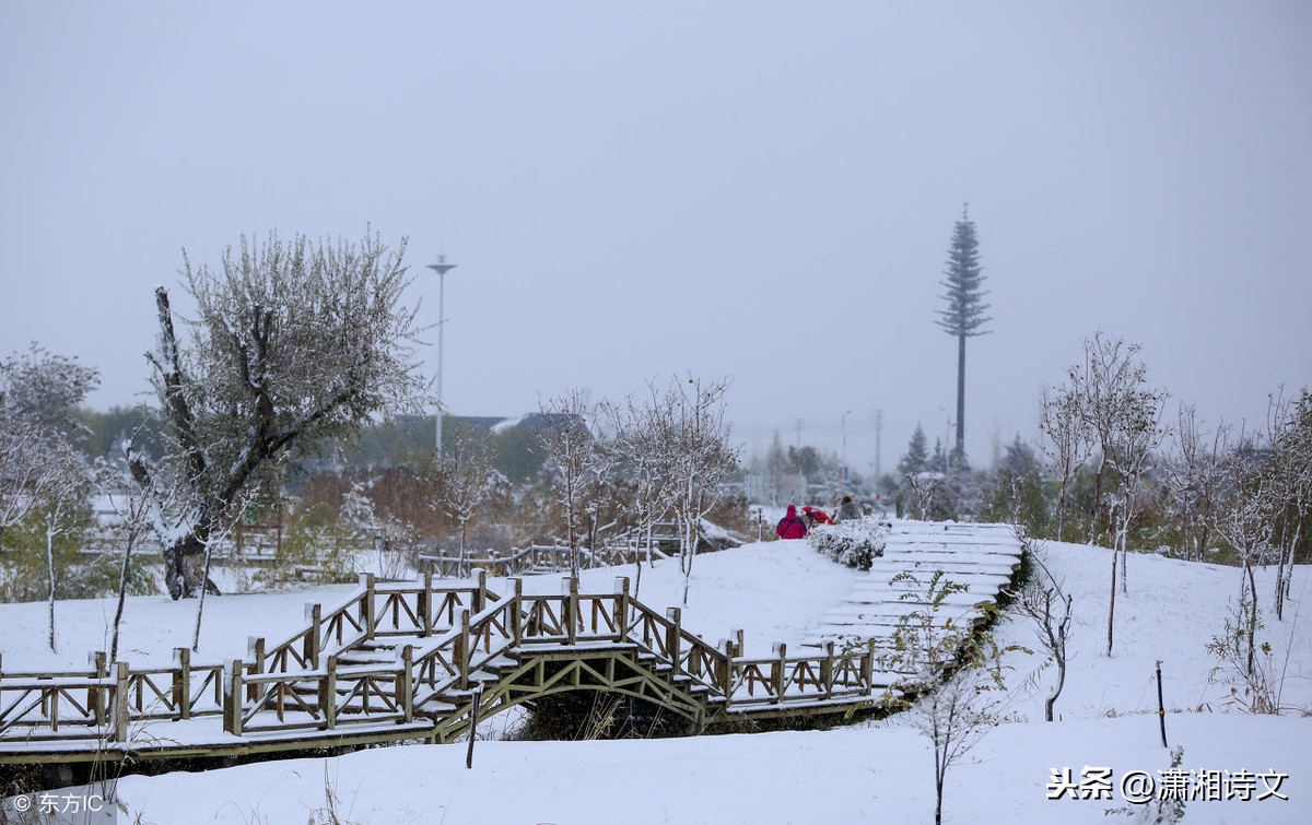 读诗‖五首描写冬雪的诗词，最喜欢那句“聒碎乡心梦不成”