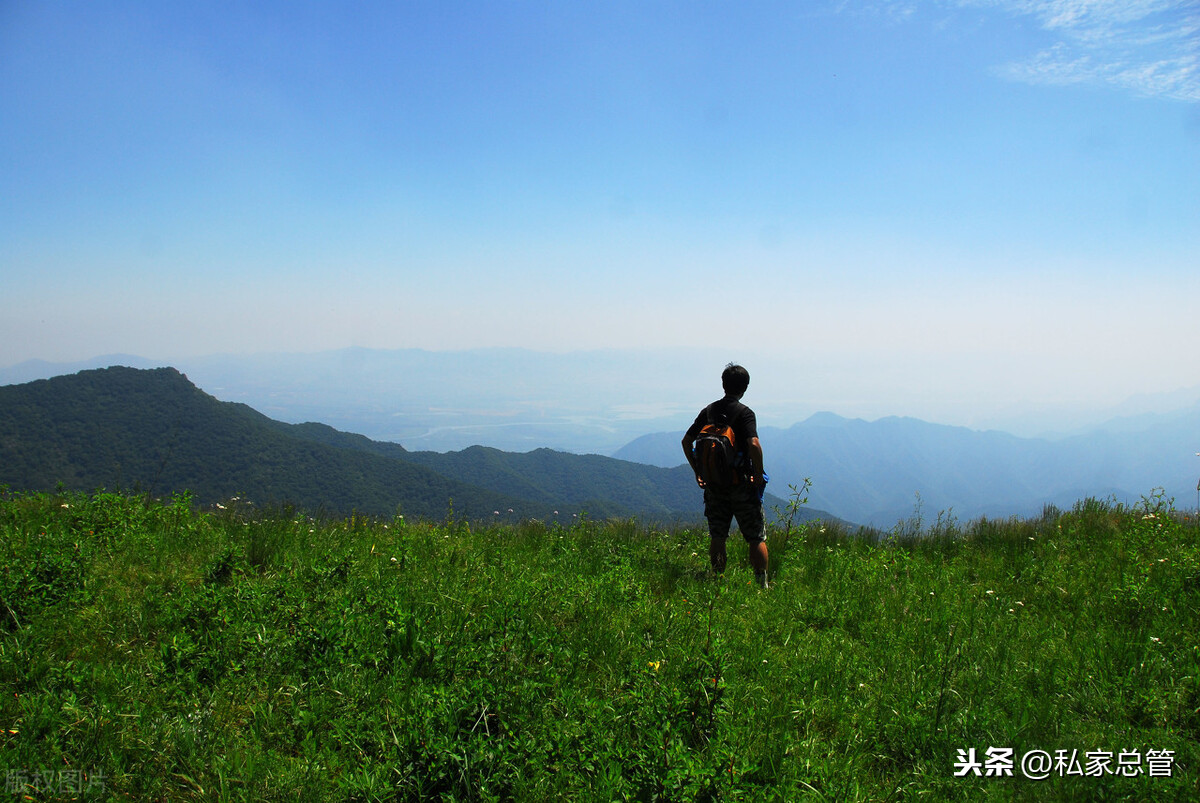 愿你一生有山可靠，有树可栖，春赏花，夏纳凉，秋登山，冬扫雪