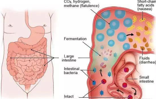 宝宝所谓“生理性腹泻”，不要管它，真的是这样吗？