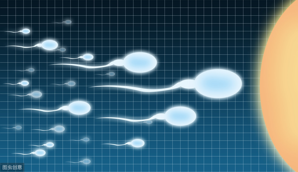 提高精子质量要注意哪些？医生总结这6点