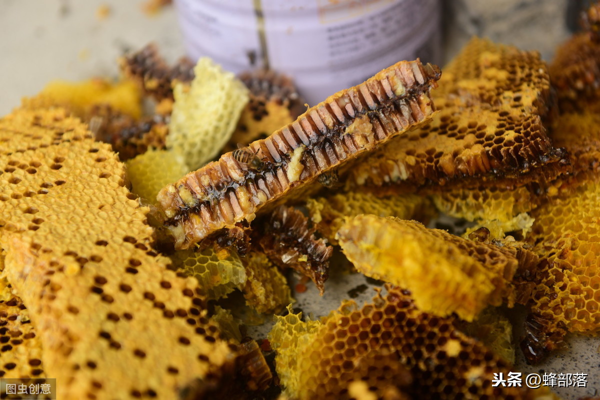 网购蜂蜜，90元一斤土蜂蜜价格合理吗？优质好蜜，合情合理