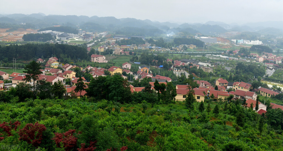 浙江农业大学(浙江农学院)--浙江化工学院(乌溪江化工学院)