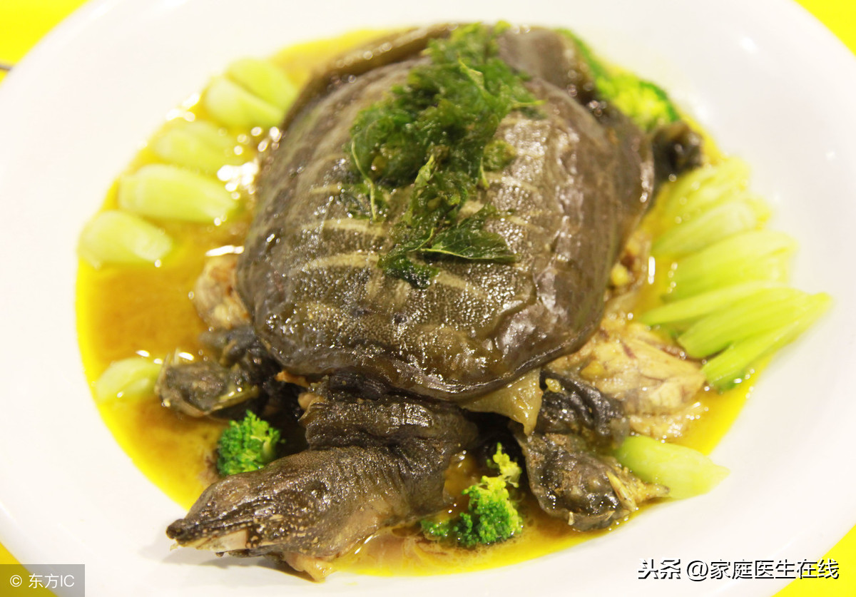 甲鱼的功效(甲鱼的功效与作用及禁忌人群)