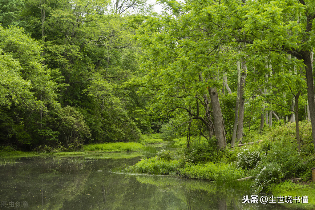 王昌龄的名句“青山一道同云雨，明月何曾是两乡”，到底好在哪里