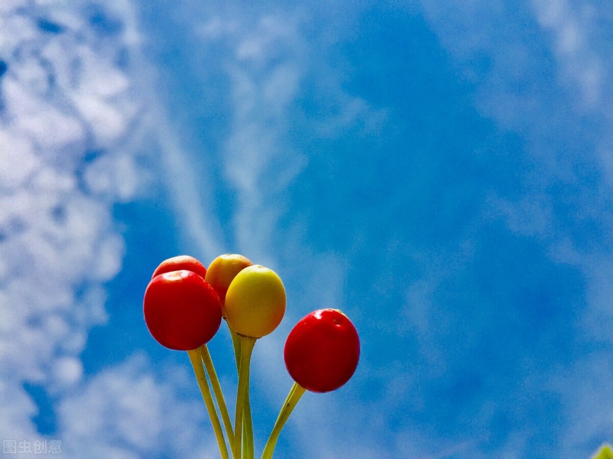 这几组星座因深爱过，最终走向“山水不相逢”，是遗憾更是牵挂