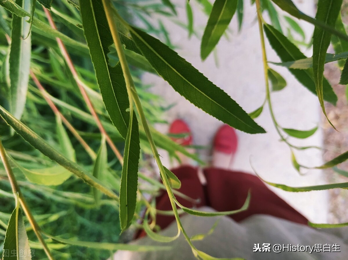 明朝时有哪些血腥刑具——刑讯类？