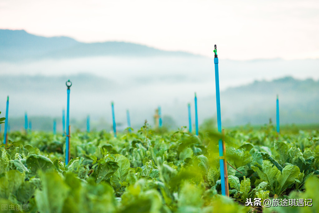 来玉溪红塔山了解一段烟文化，这么多种没见过的烟看得眼花缭乱