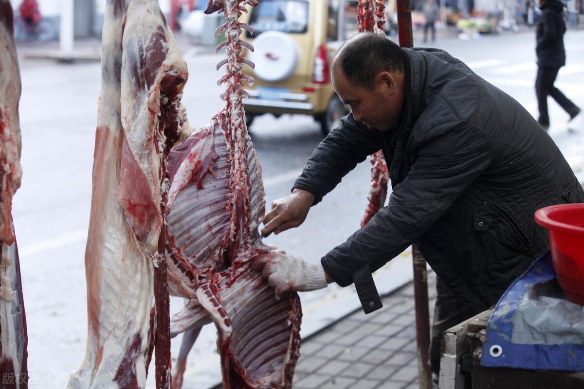 现在羊肉价格多少钱一斤？12月26日全国羊肉价格预测