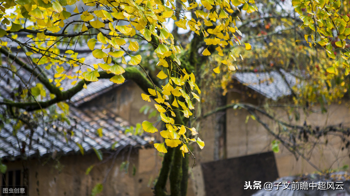 二权分立对中超有什么影响(浅谈“足代会”影响：二权分立，格局已变！中超迎来重大机遇)