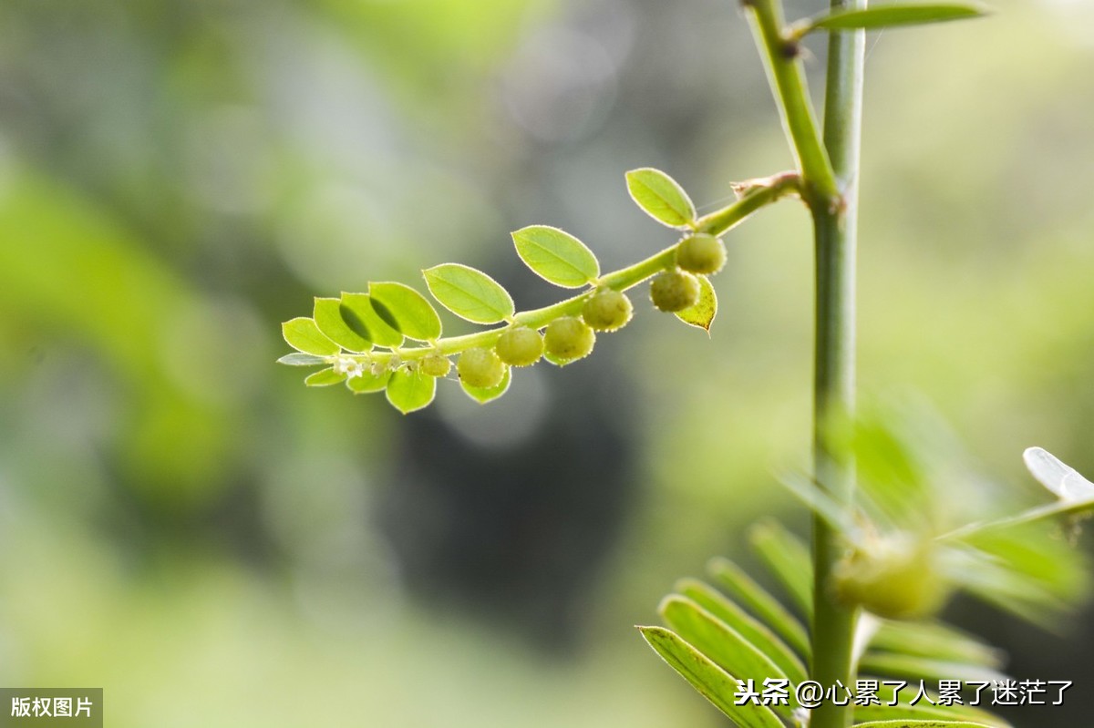 人生感悟的励志语录，回首望望来路，想想丢下了什么