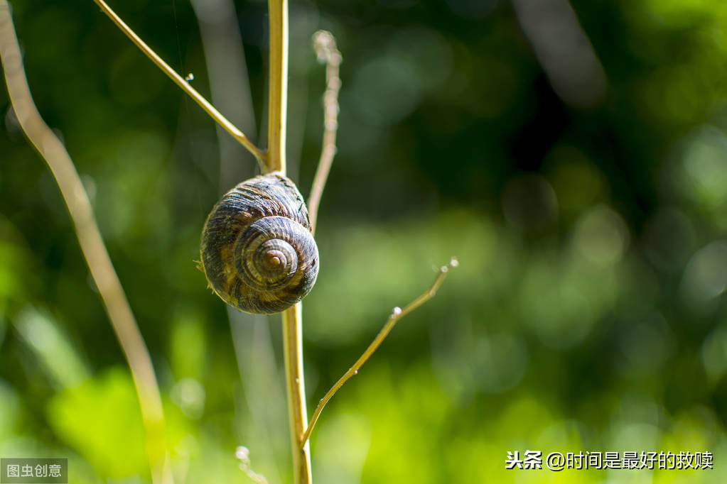 ​做人，宁愿装傻，切勿自作聪明！