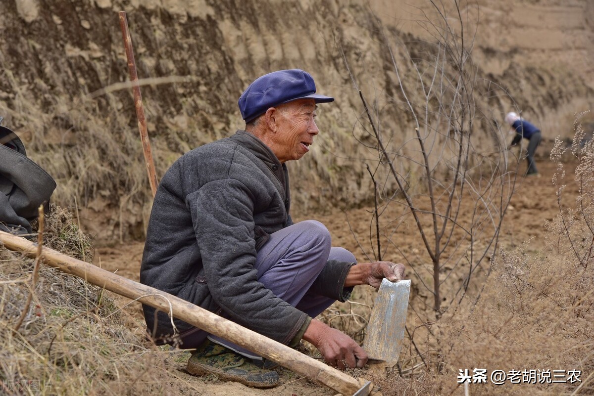 “宁守寡，不撩有妇之人；愿守贫，勿贪无义之财”说的是什么意思