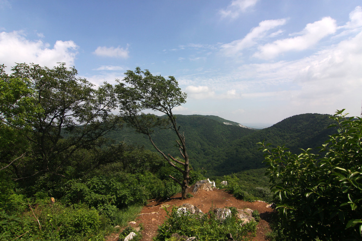 《與諸子登峴山》是孟浩然的一首懷古傷今之作,詩人觸景生情,感慨之餘