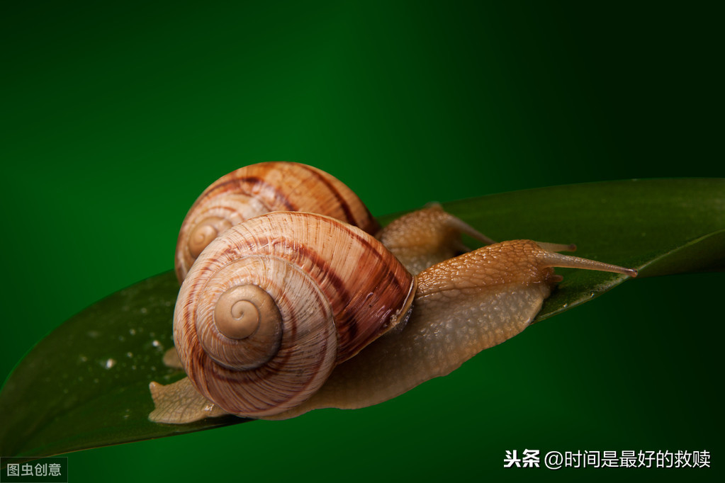 ​做人，宁愿装傻，切勿自作聪明！