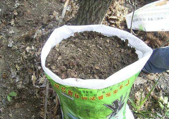 买的营养土还用掺土吗(营养土不用买，3种“废物”掺一掺，肥的流油，养花一级棒)