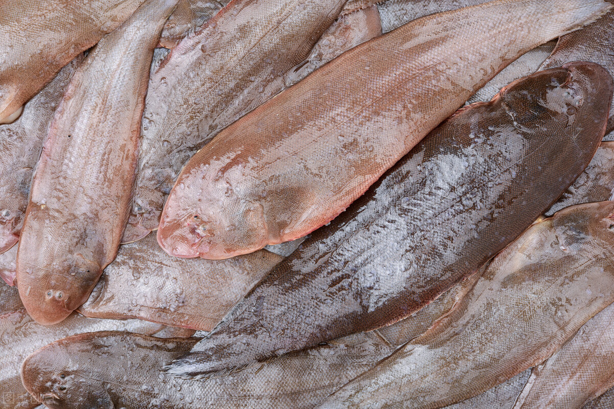 龍利魚是什麼魚超市裡的龍利魚為什麼那麼便宜