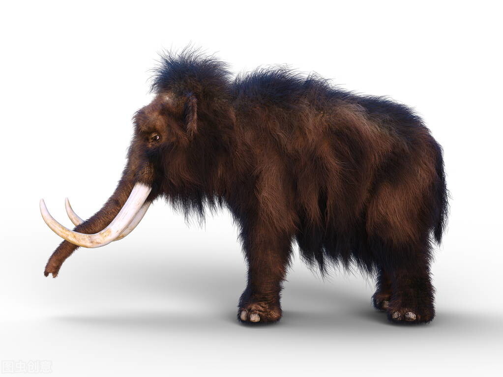 西伯利亚又发现远古生物遗体，远古生物如今为何频繁被发现