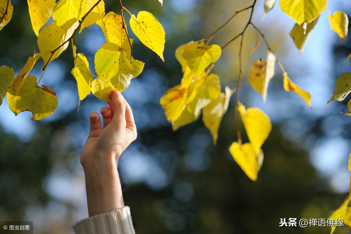 生命无常，来日并不方长