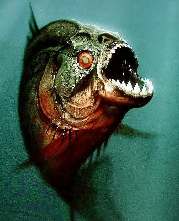 推荐一部福利版的惊悚片 食人鱼3D