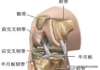 nba有哪些球员韧带撕裂过(nba某球星左膝十字韧带撕裂，运动中要学会保护自己)