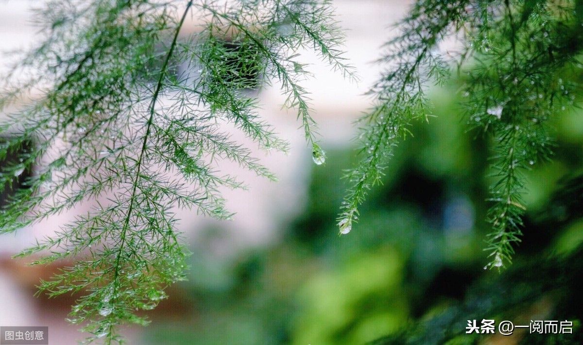 趁春天還在,來讀五首熟悉的春雨詩,可否潤到你的心裡