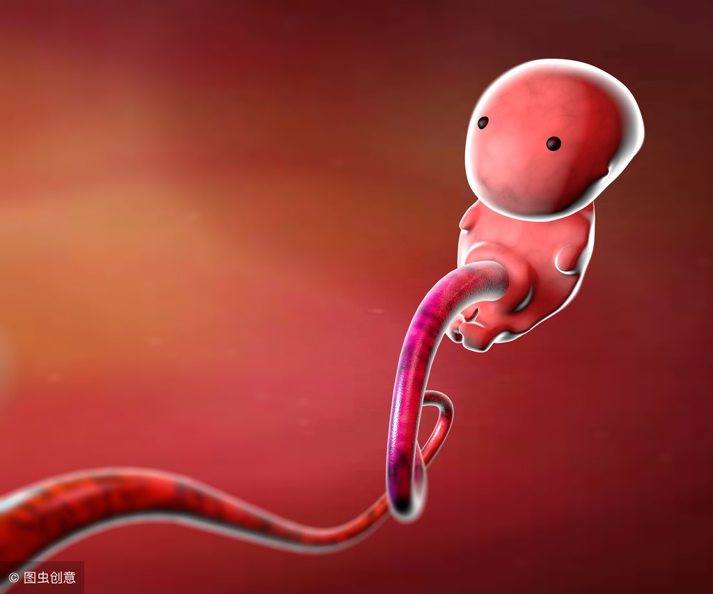 胎盘前置胎盘妊娠期间子宫内的胎儿插画图片素材_ID:428099383-Veer图库